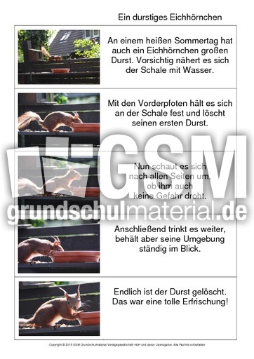 Abschreibtext-Bildergeschichte-E-2.pdf